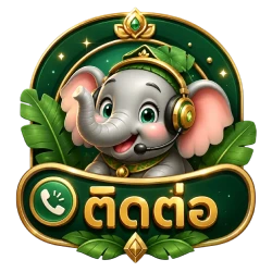 ติดต่อ